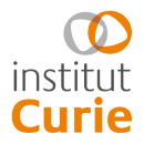 partner: Institut Curie